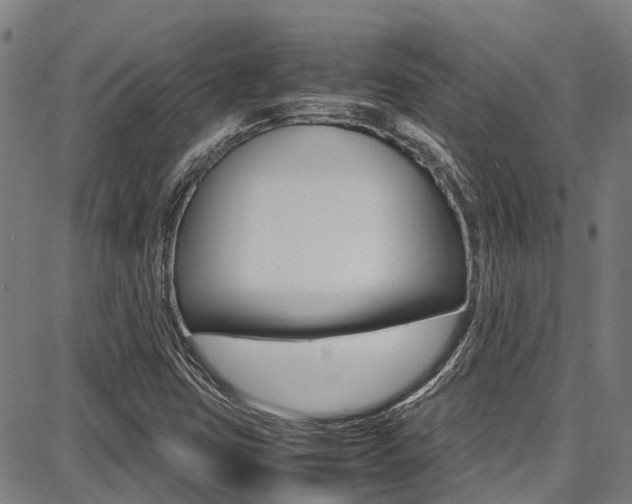 X0000087711403200705040904