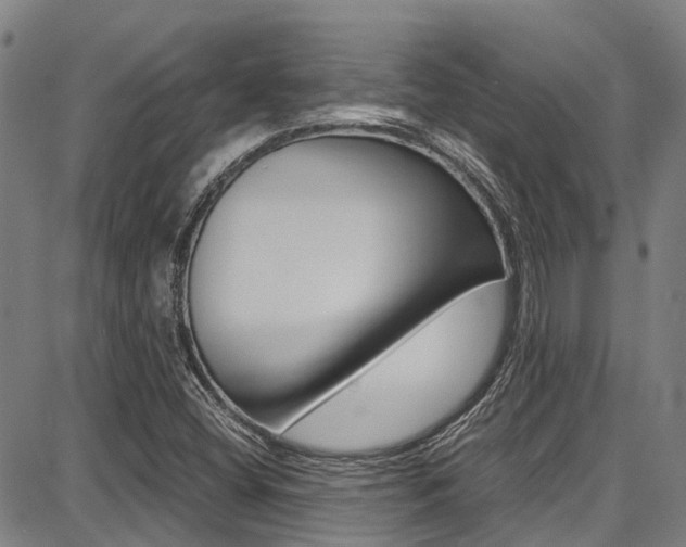 X0000087711404200705040904