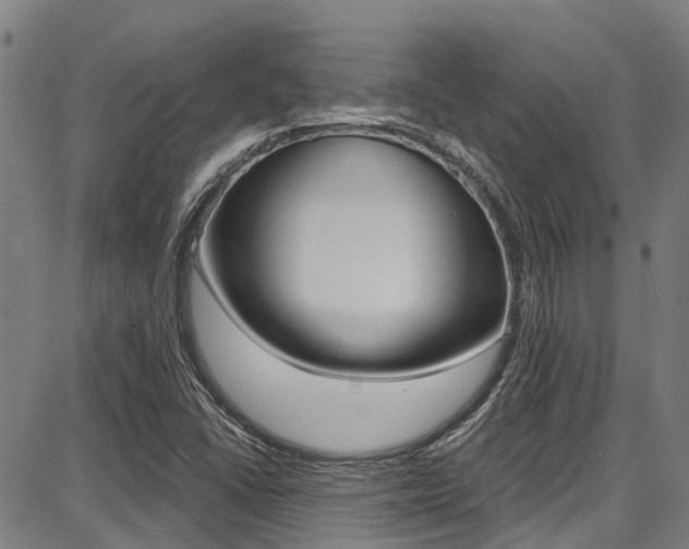 X0000087711406200705040905
