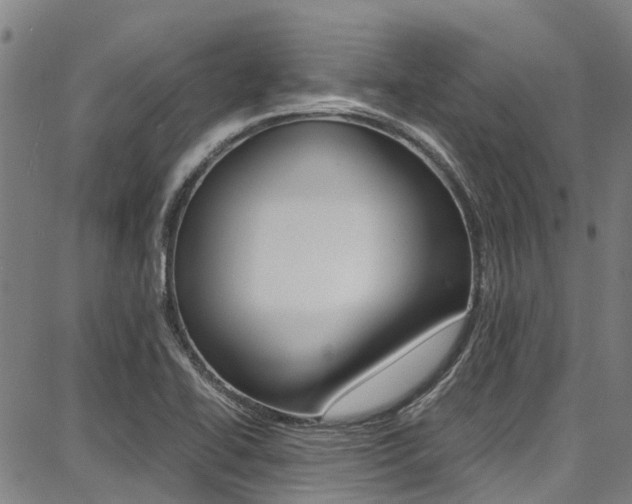 X0000087711414200705040905