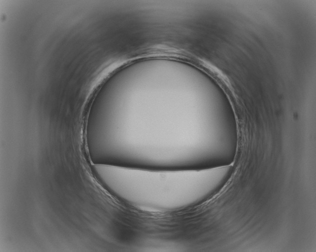 X0000087711415200705040905