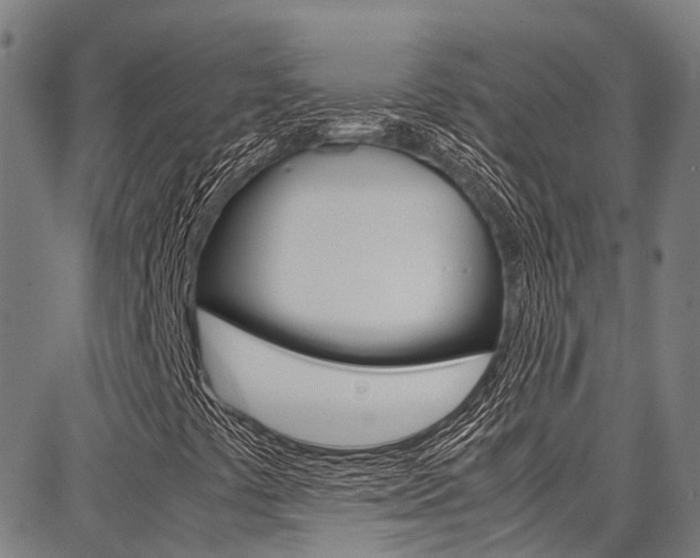 X0000087711441200705040904