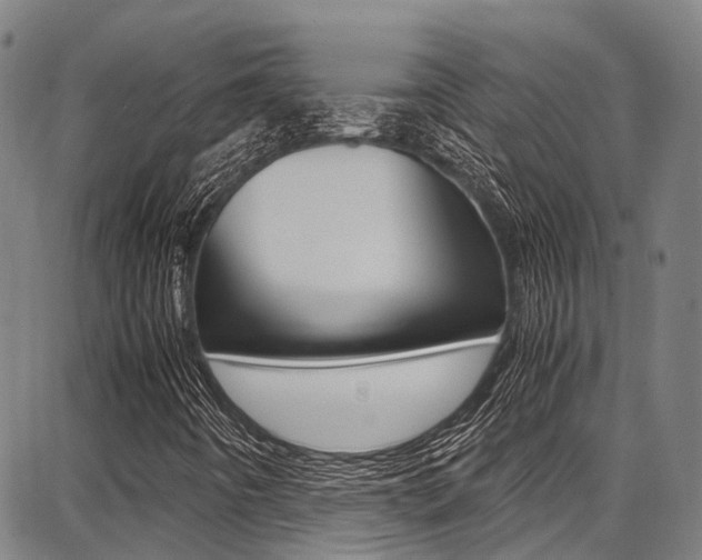 X0000087711442200705040904