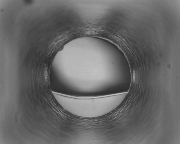 X0000087711444200705040904