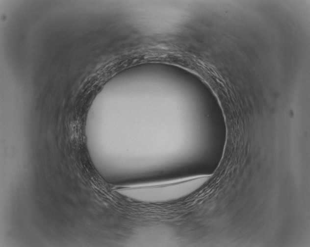 X0000087711445200705040904