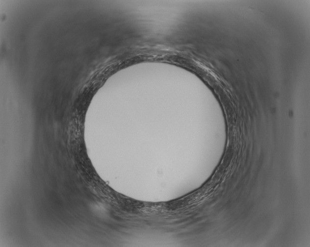 X0000087711447200705040904