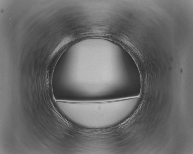 X0000087711450200705040904