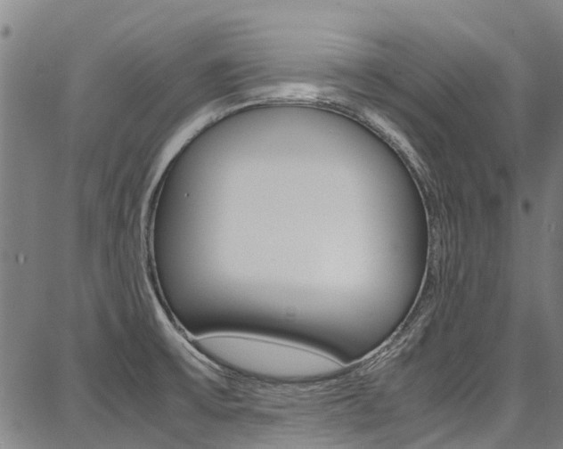 X0000087711475200705040904