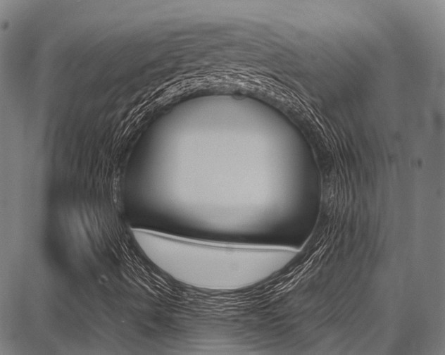 X0000087711490200705040903