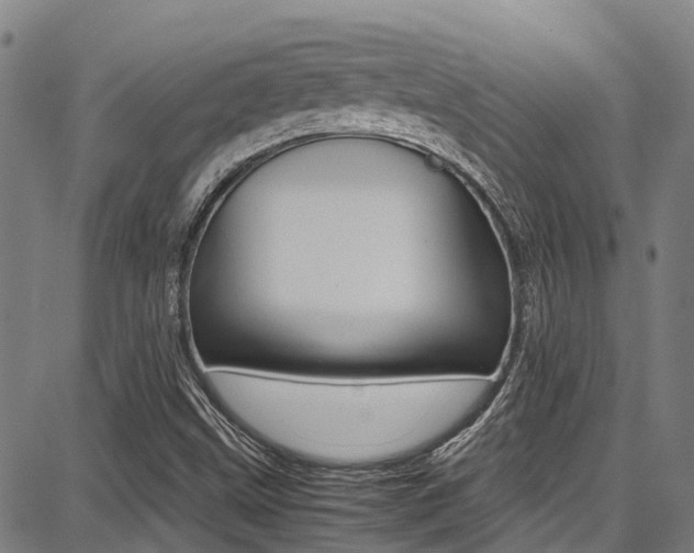 X0000087711499200705040903