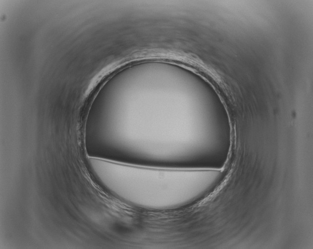 X0000087711501200705040903