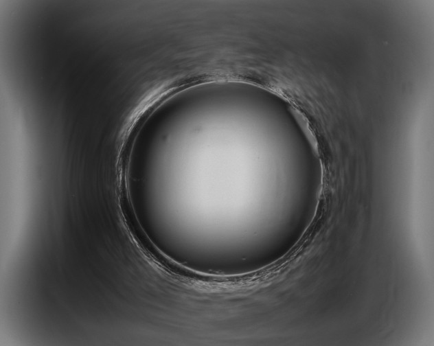 X0000087710005200705041107