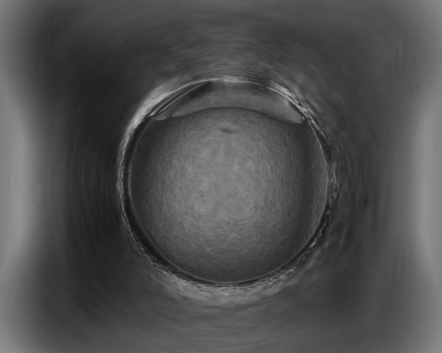 X0000087710006200705041107