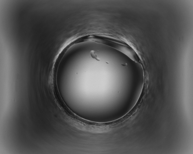 X0000087710008200705041107