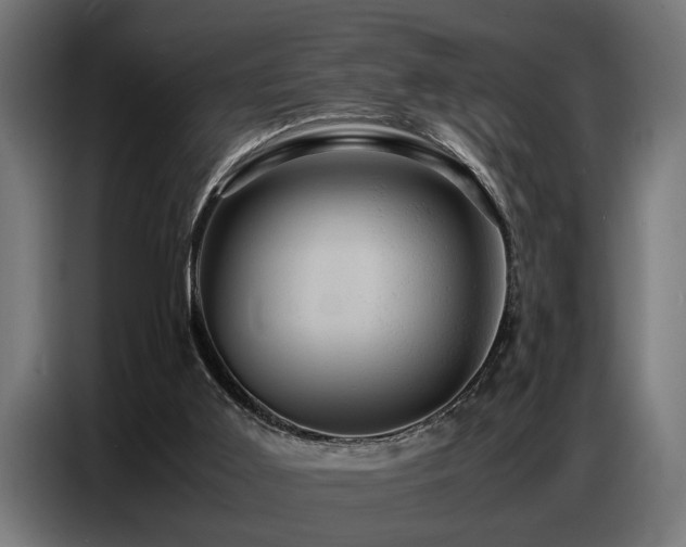 X0000087710011200705041107