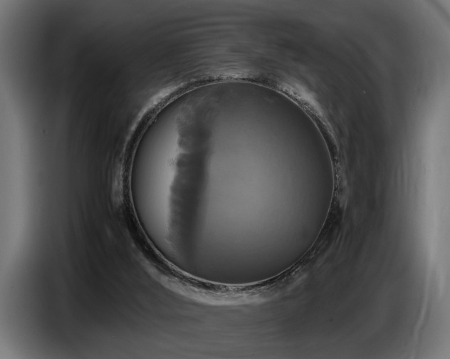 X0000087710012200705041107