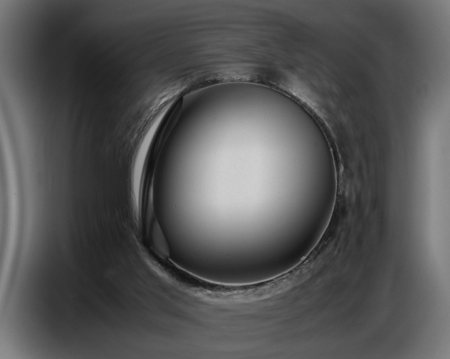 X0000087710013200705041107