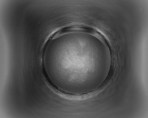 X0000087710015200705041107