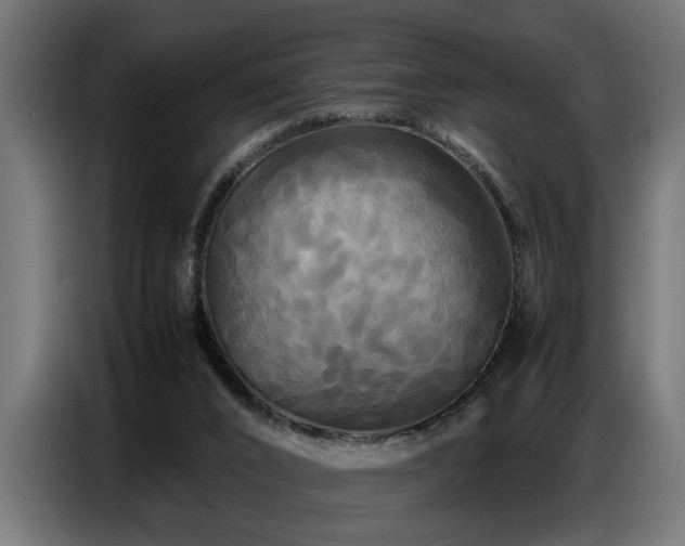 X0000087710016200705041107