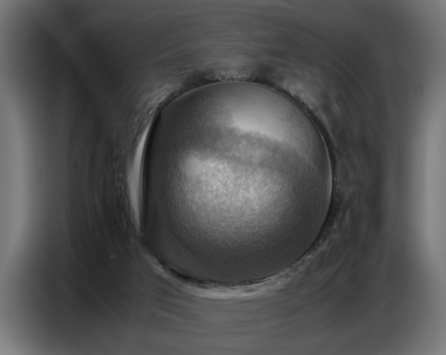 X0000087710017200705041107