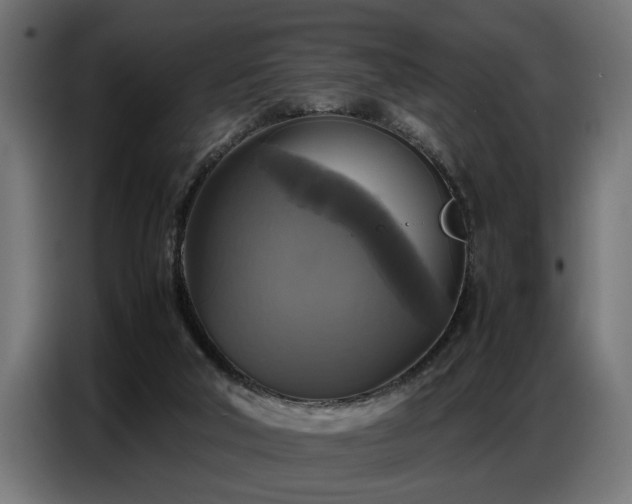 X0000087710018200705041107