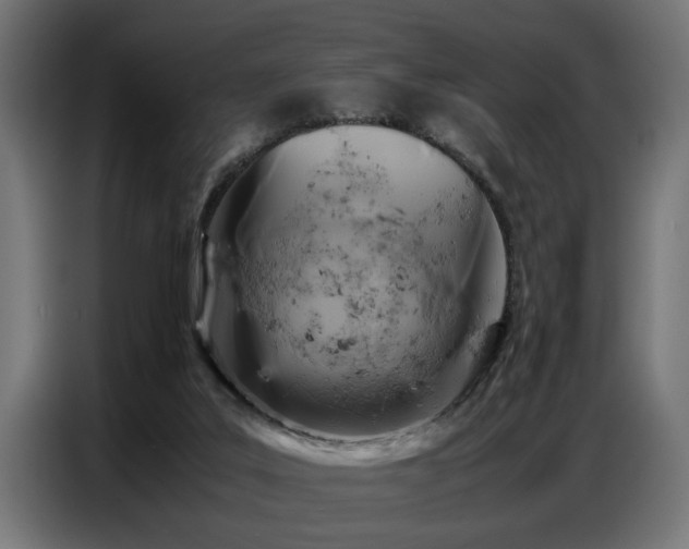 X0000087710019200705041107