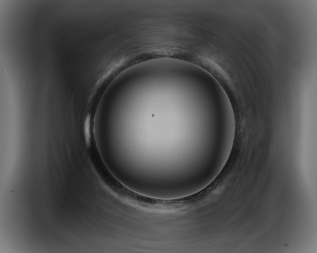 X0000087710020200705041107