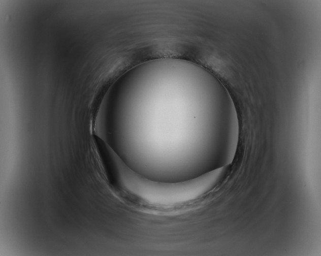 X0000087710021200705041107