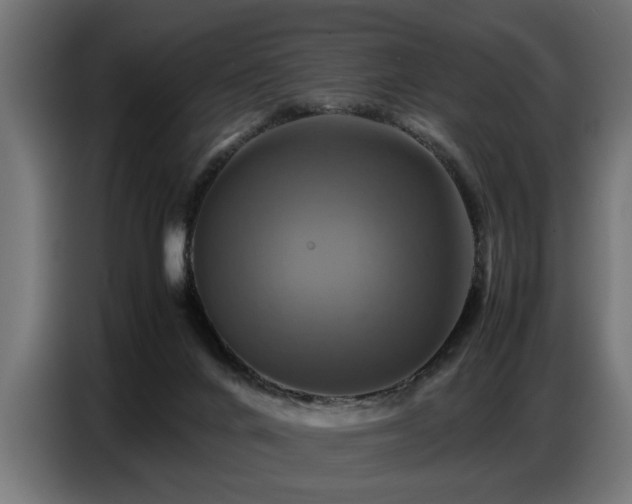 X0000087710024200705041106