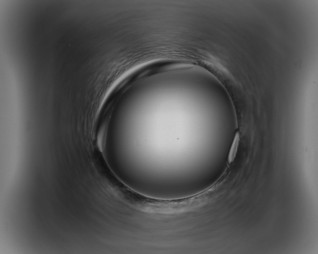 X0000087710025200705041106