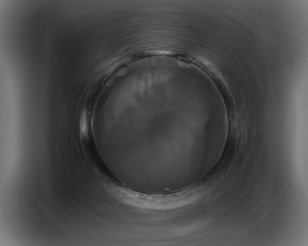 X0000087710026200705041106