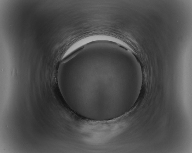 X0000087710029200705041106