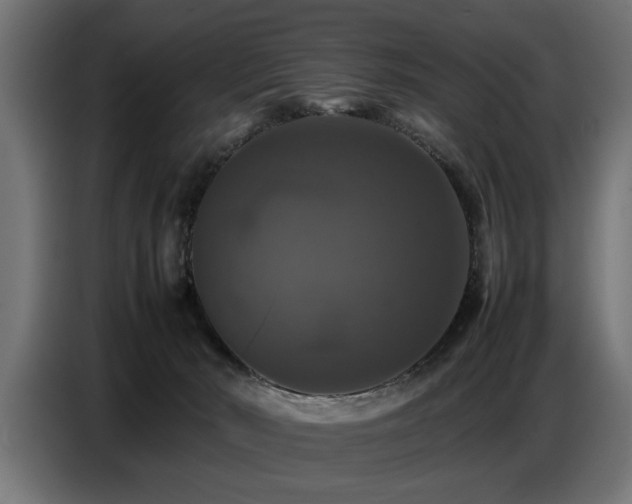 X0000087710030200705041106