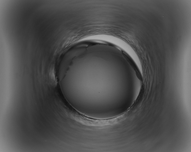 X0000087710031200705041106