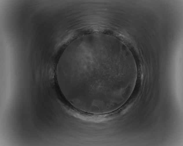 X0000087710032200705041106