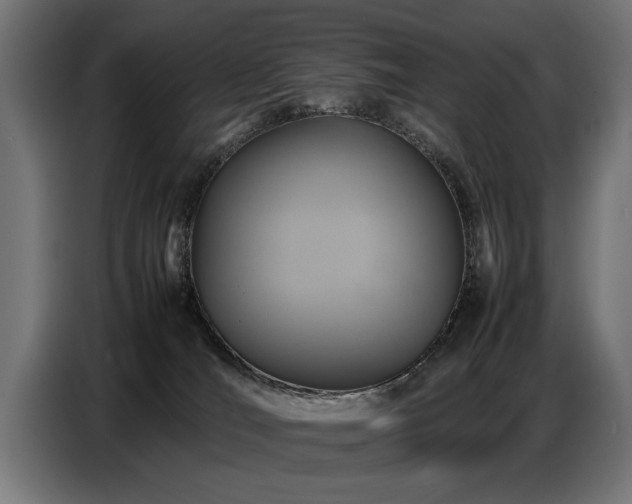 X0000087710036200705041106