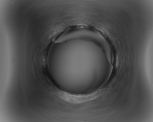 X0000087710039200705041106