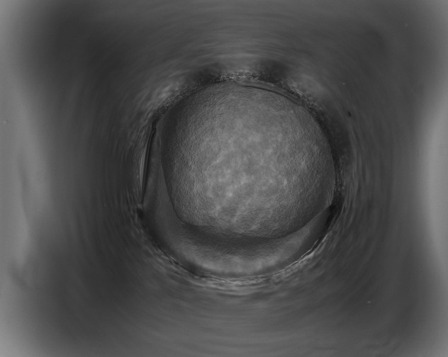 X0000087710041200705041106