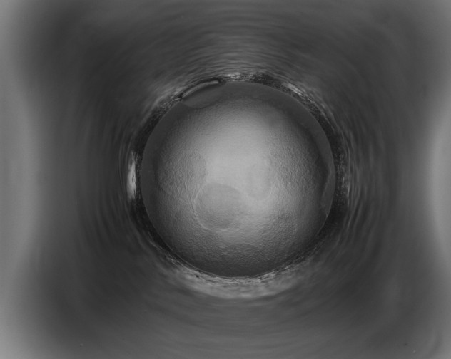 X0000087710042200705041106