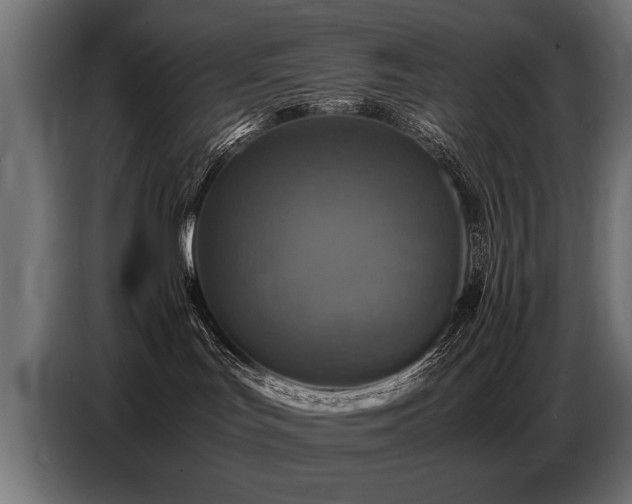 X0000087710047200705041106