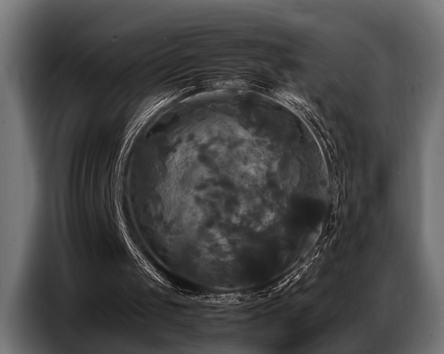 X0000087710049200705041106