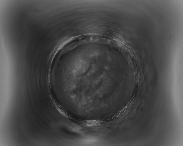 X0000087710050200705041106