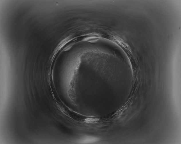 X0000087710051200705041106