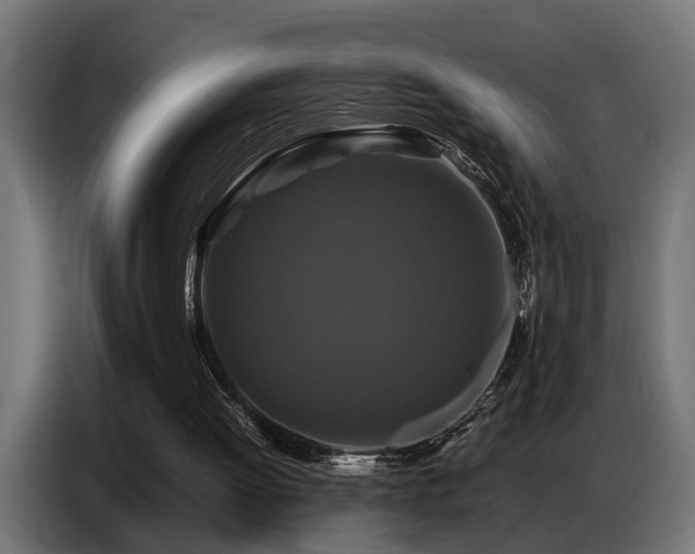 X0000087710052200705041106