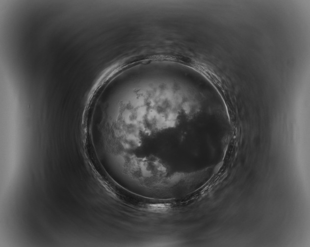 X0000087710053200705041106