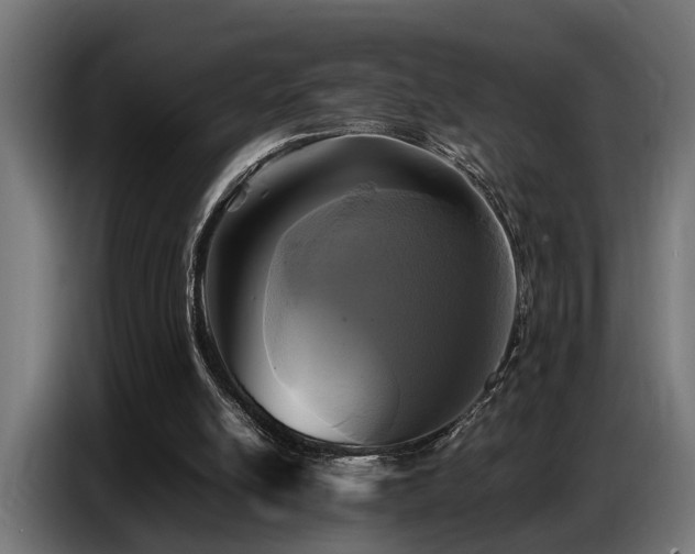 X0000087710054200705041106