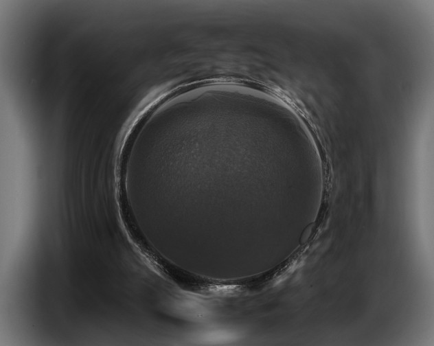 X0000087710055200705041106