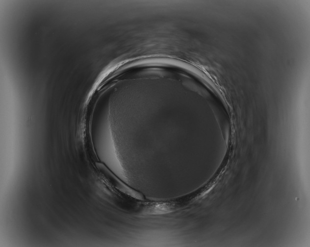 X0000087710056200705041106