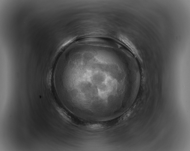 X0000087710058200705041106