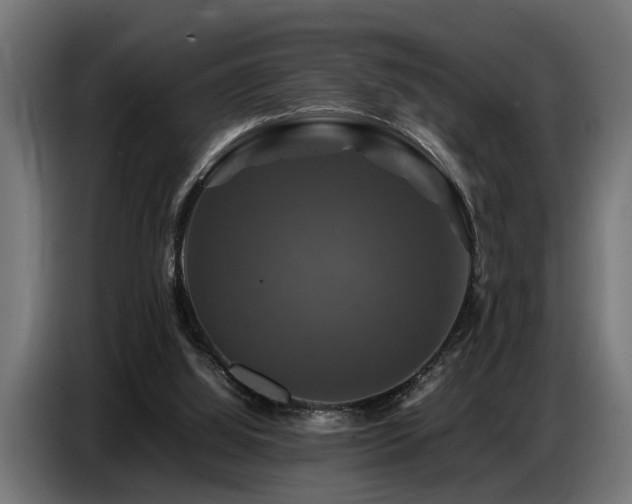 X0000087710060200705041106